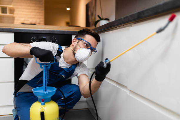 Best Affordable Pest Control Services  in Sheboygan, WI