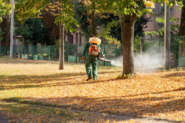 Professional Pest Control in Sheboygan, WI