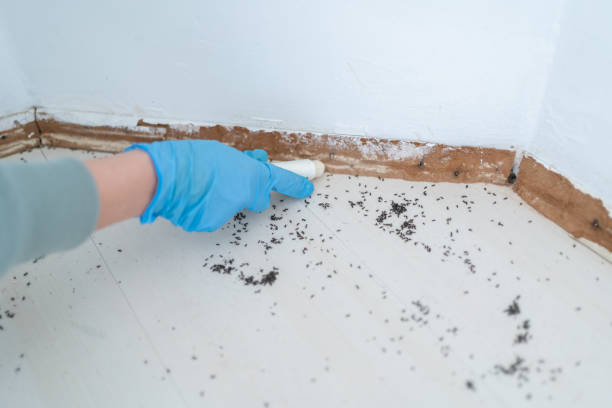 Pest Control Cost in Sheboygan, WI
