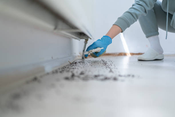 Best Pest Removal Services  in Sheboygan, WI