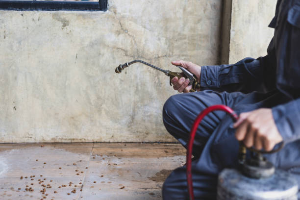 Best Termite Control Services  in Sheboygan, WI