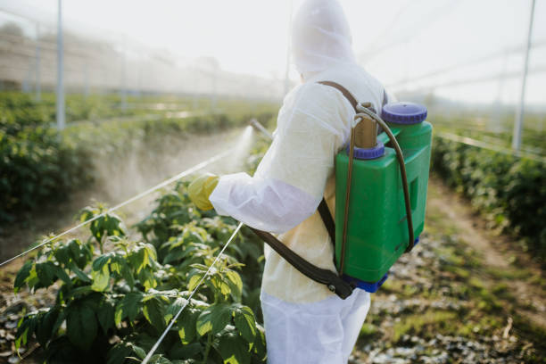 Best Exterminator Services  in Sheboygan, WI